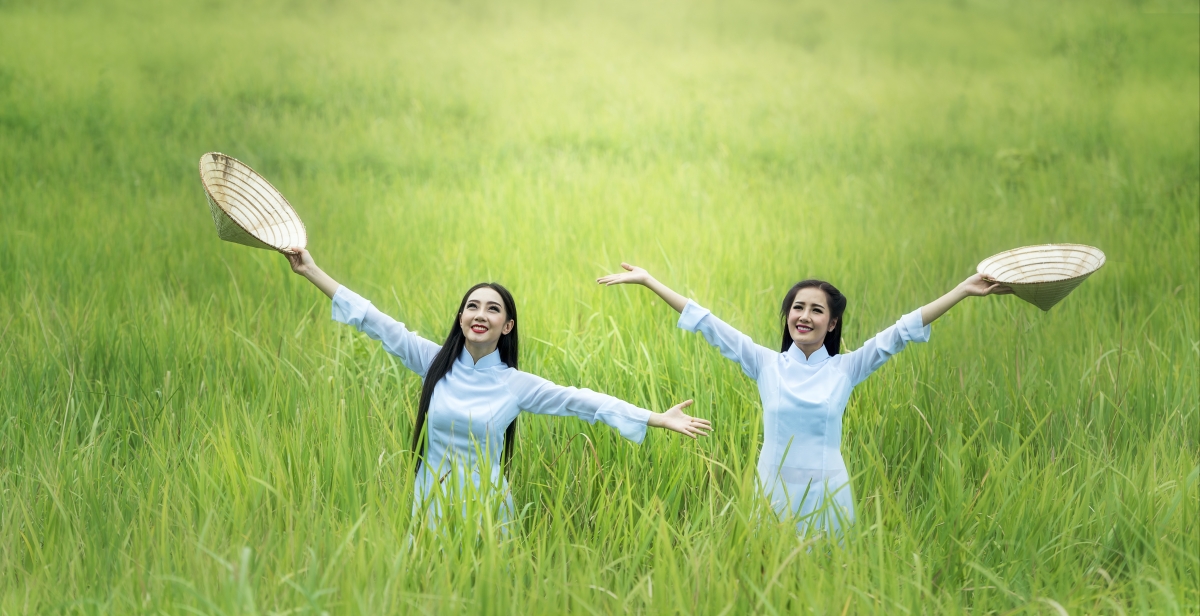 Woman rice paddy field green countryside