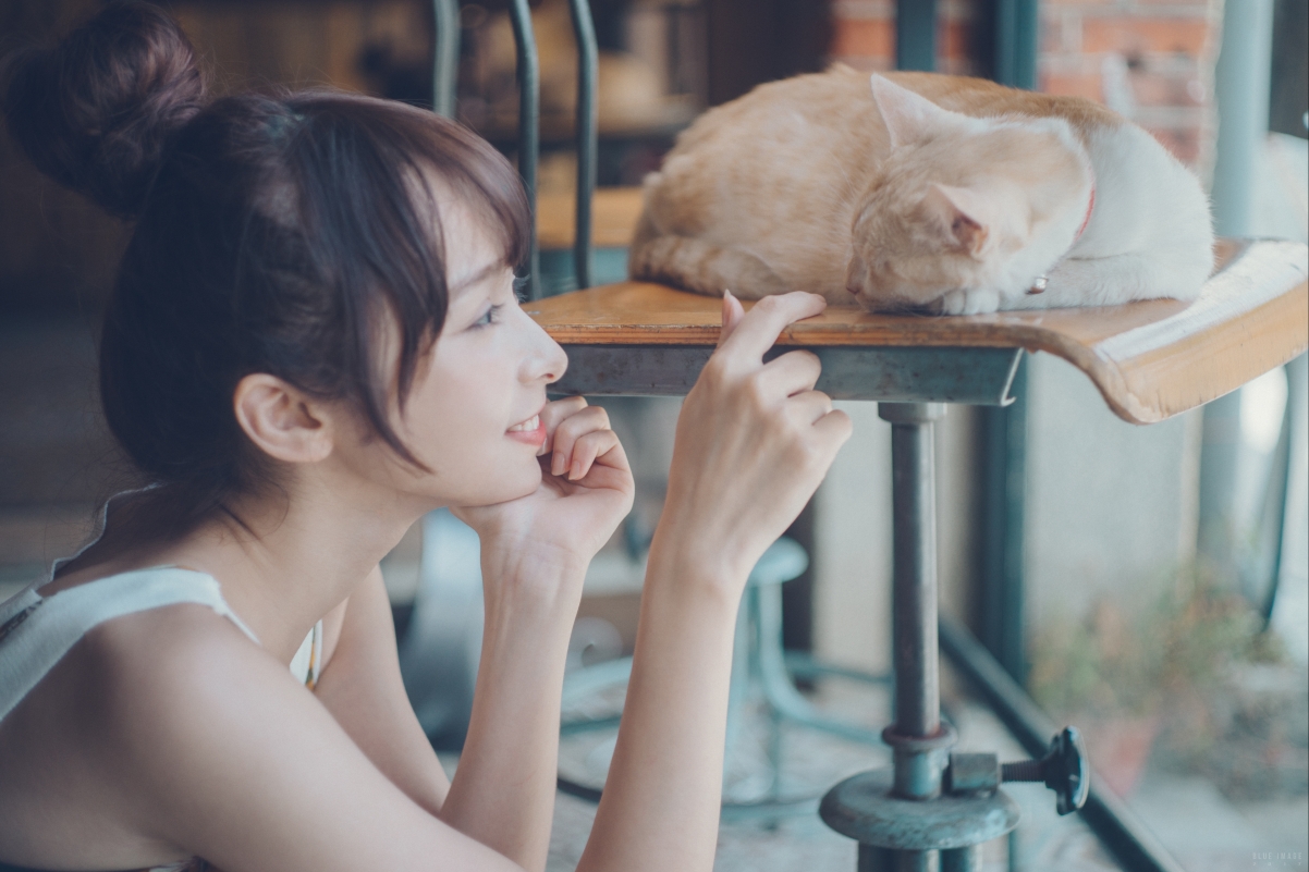 Girl and cat 4k pictures