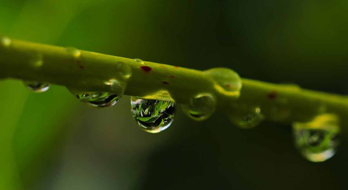 A drop of water raindrop mood water drop