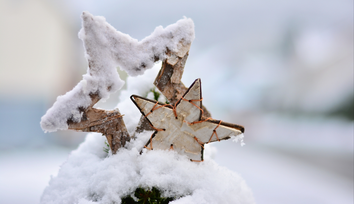 Snow, winter, christmas, christmas theme