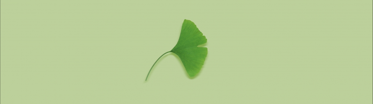 Lucky Leaf 5120x1440 Eye Protection Wallpaper