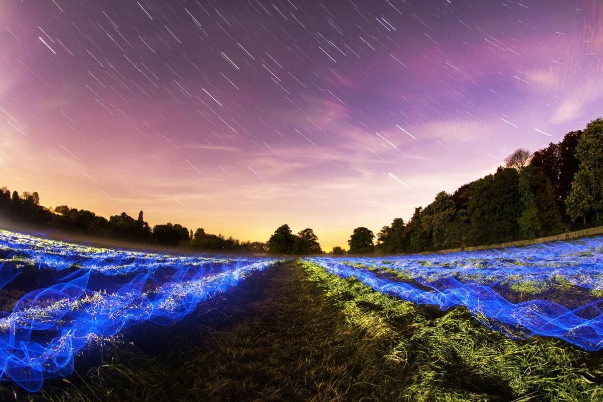 Star field night green grass art