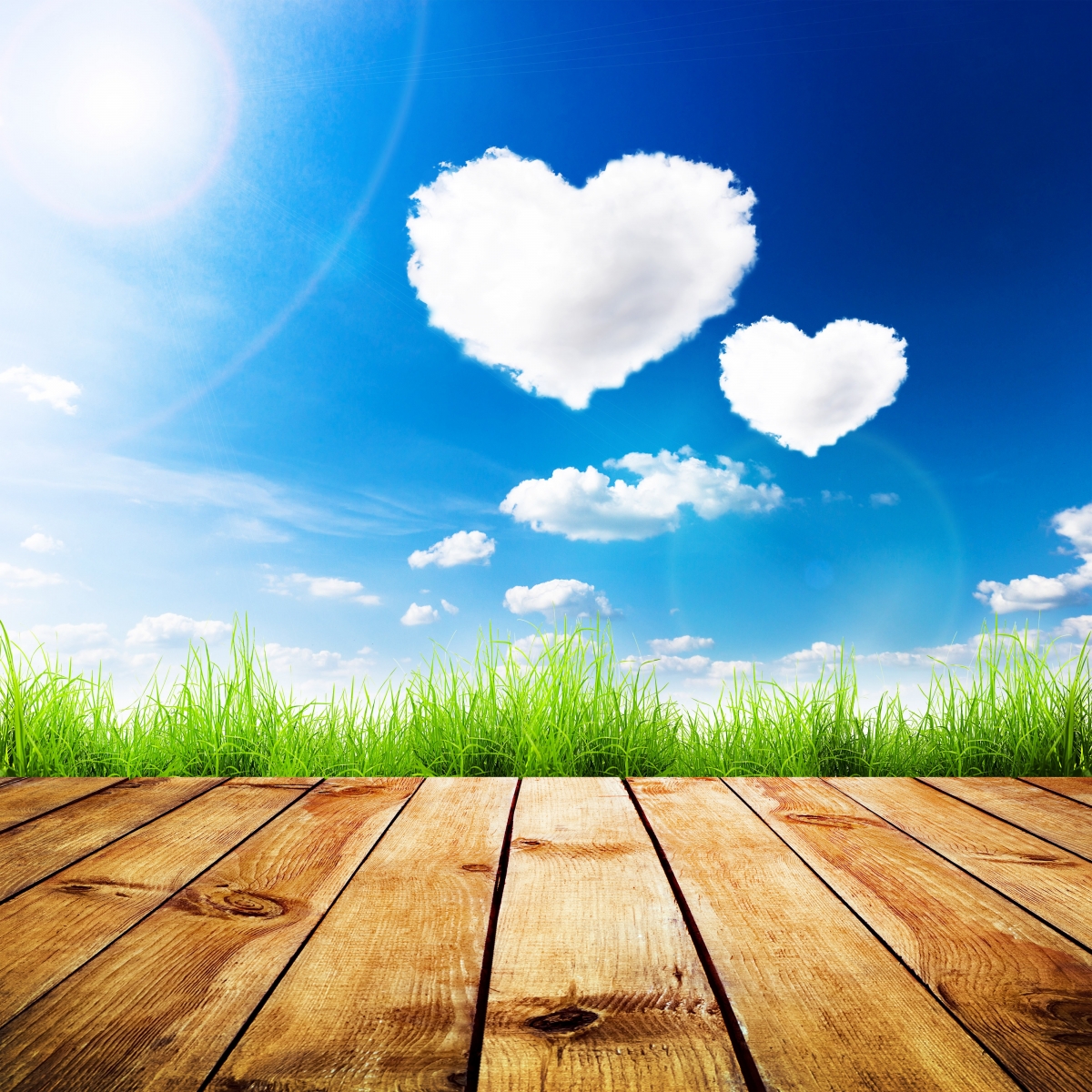 Sky clouds grass sun summer