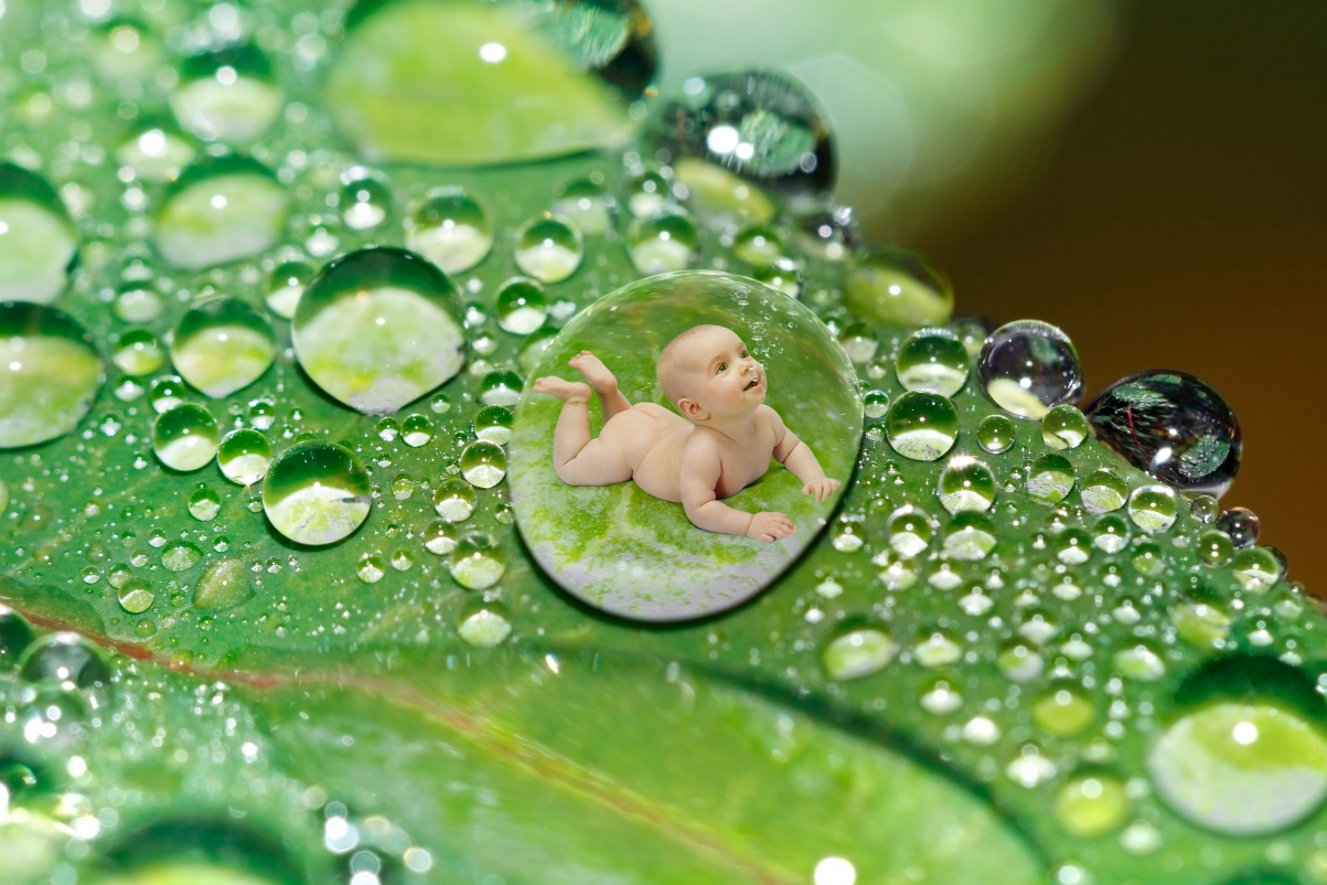 Water drop green leaf baby kid