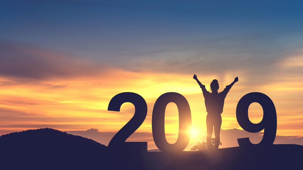 Young woman 2019 new year character style