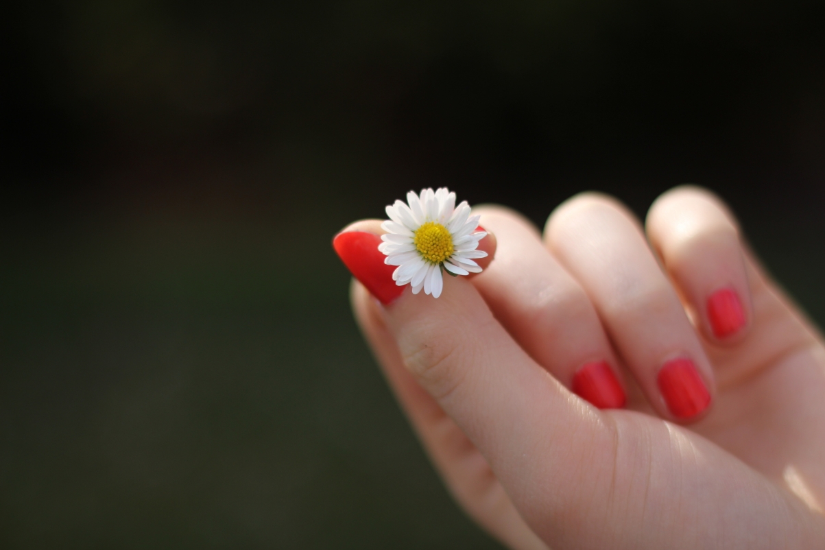 Beautiful finger photography with daisies 5K