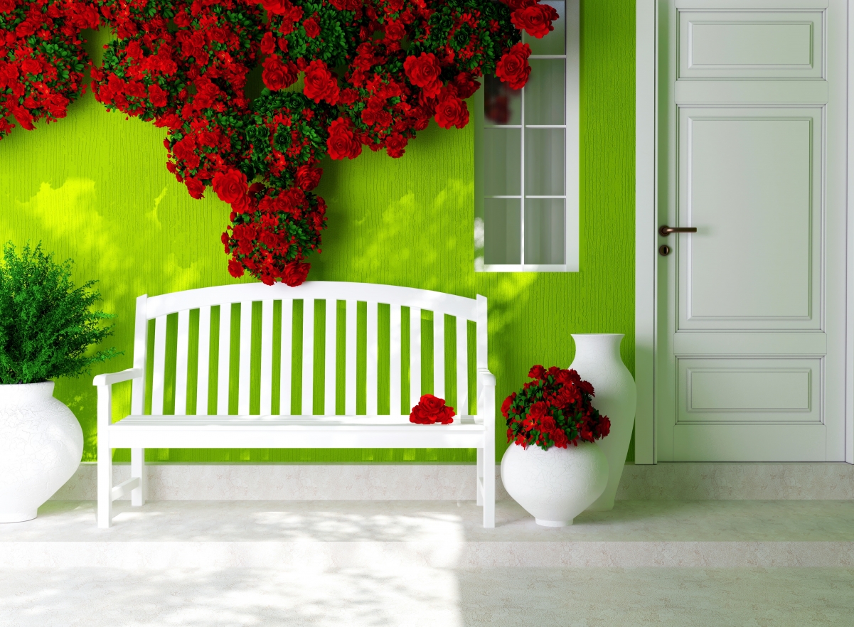Door, window, shop, flowers, green wall