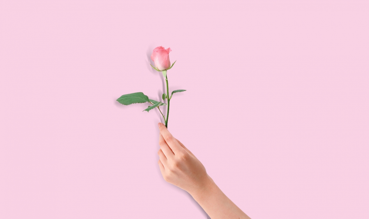 Rose simple background image