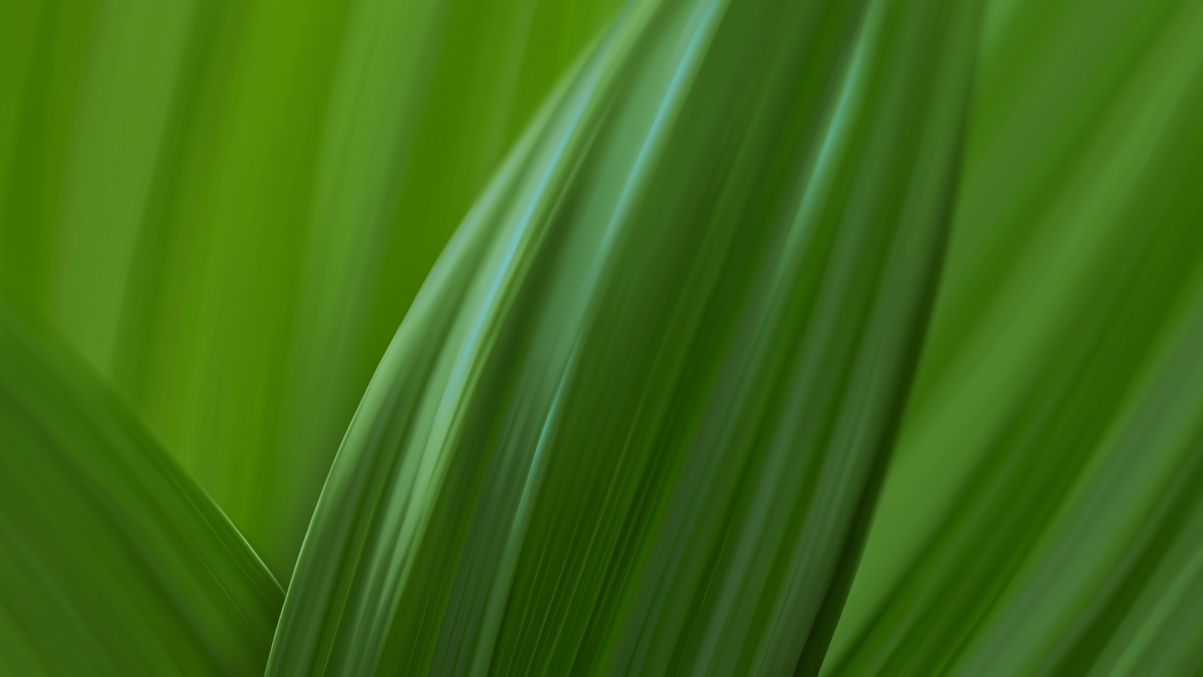 Green simple eye protection 5k wallpaper 5120
