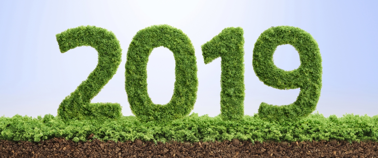 Green and environmentally friendly 2019 creative numbers