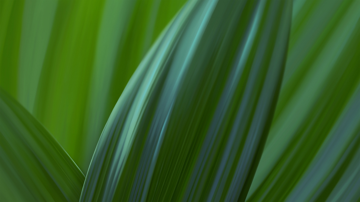 Green eye protection 4k simple wallpaper 3840