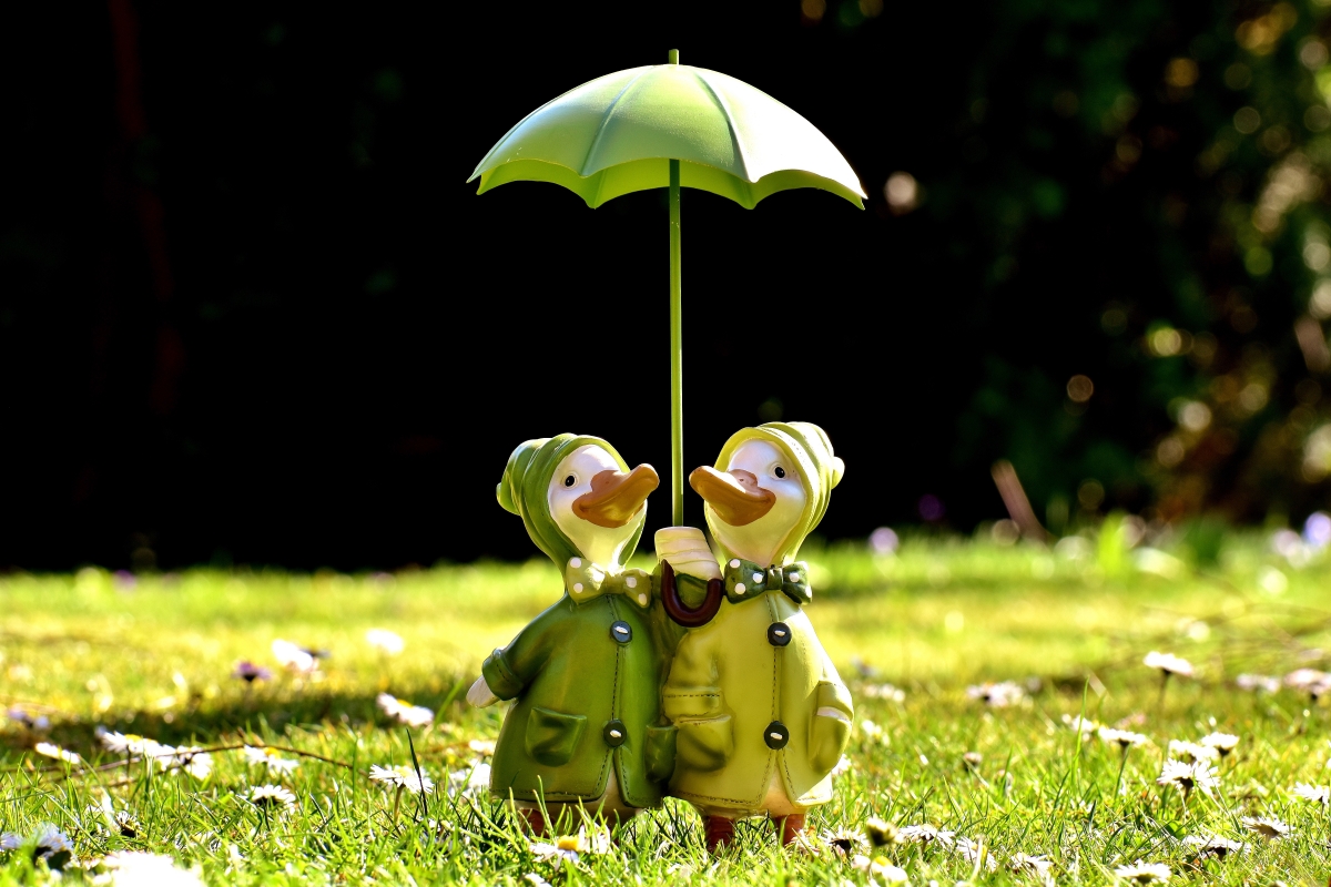 Cute meadow with two ducks parasol