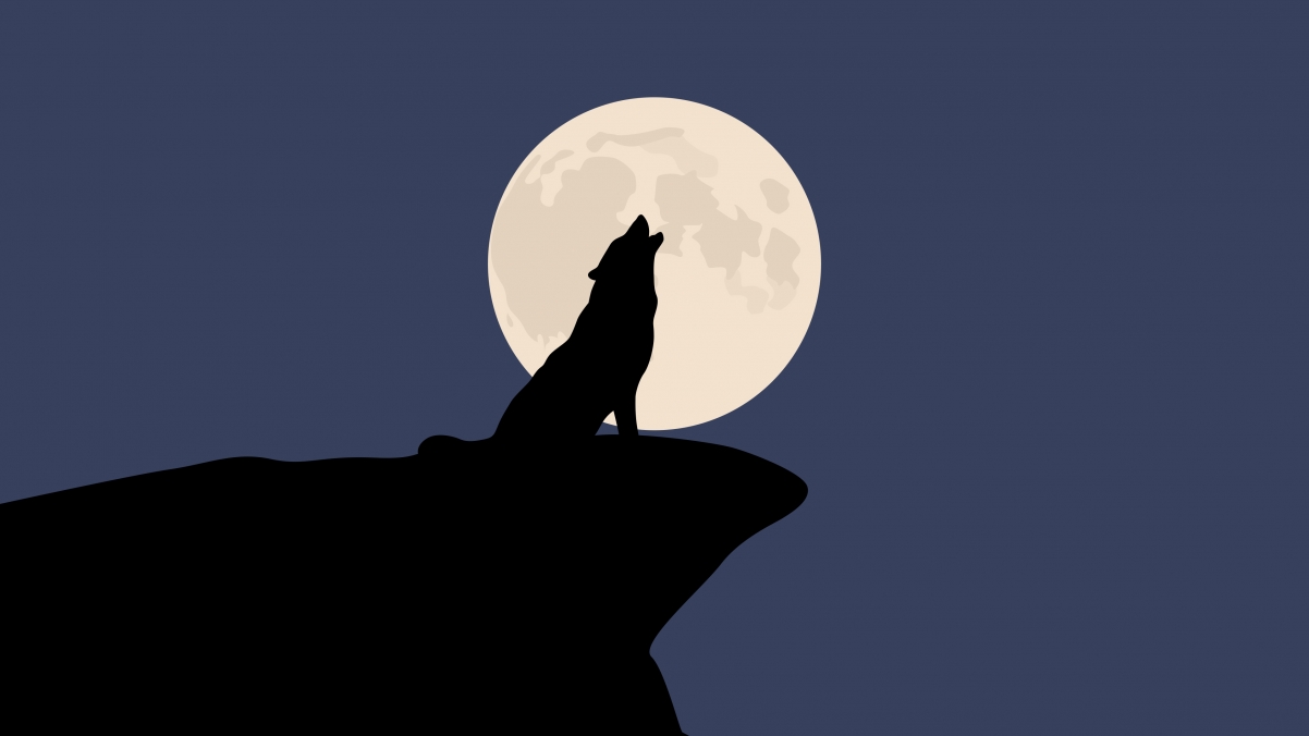 Howling wolf 4k simple wallpaper