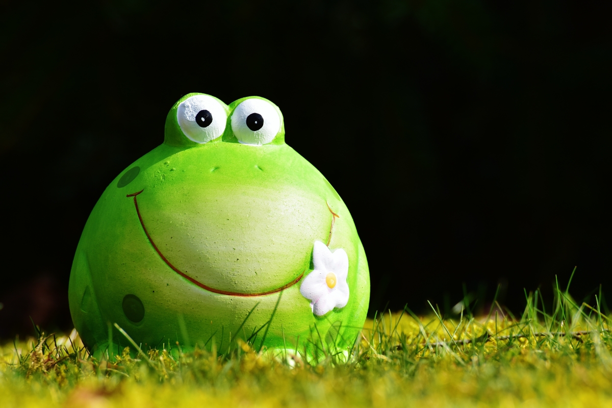Cute frog 6K background picture