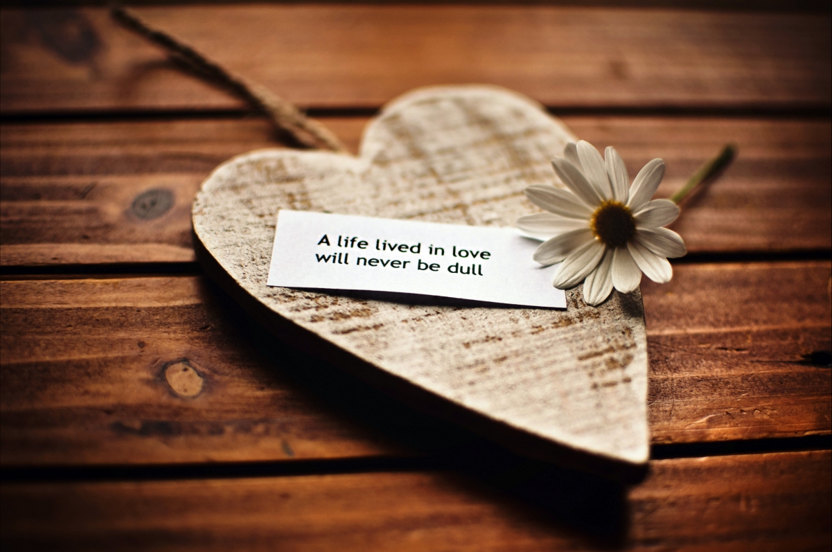 Love, flowers, phrases, beautiful pictures
